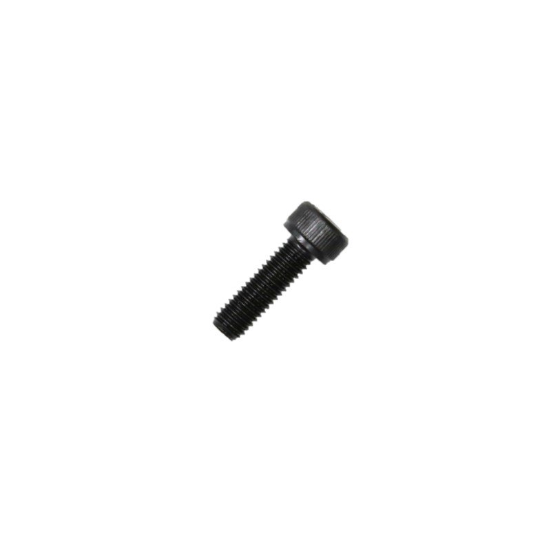 Anschutz Cheese Head Screw M5x16