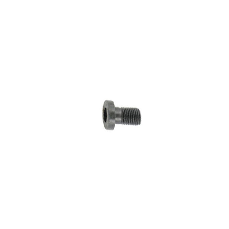 Anschutz Cheese Head Screw M5x12 - 8.8