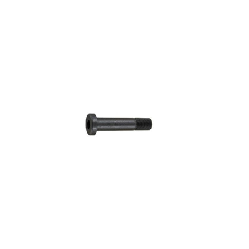 Anschutz Bedding Screw M6x0.75x40