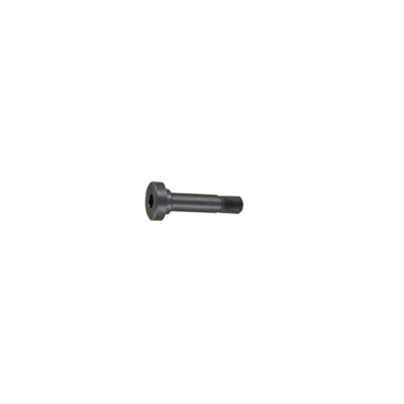 Anschutz Bedding Screw M6x0.75x40/D7.9