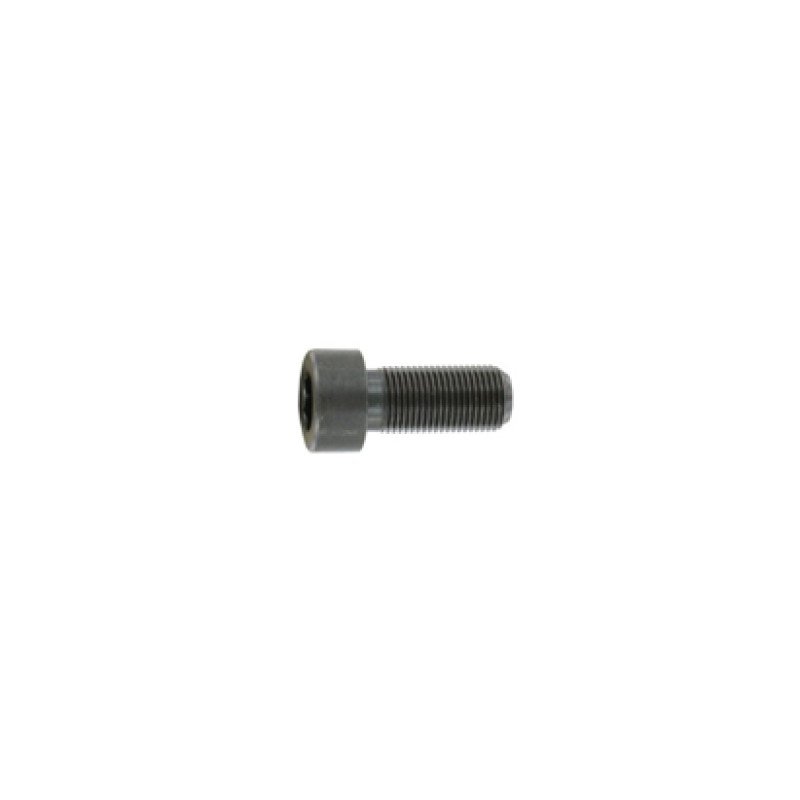 Anschutz Cheese Head Screw M8x1x25