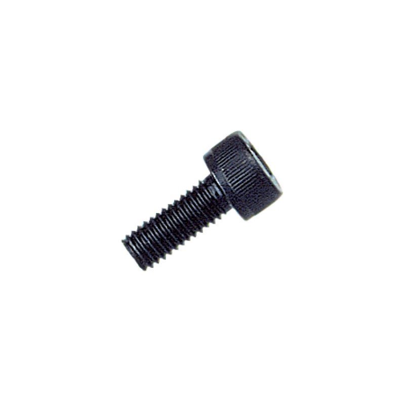 Anschutz Cheese Head Screw M5x10
