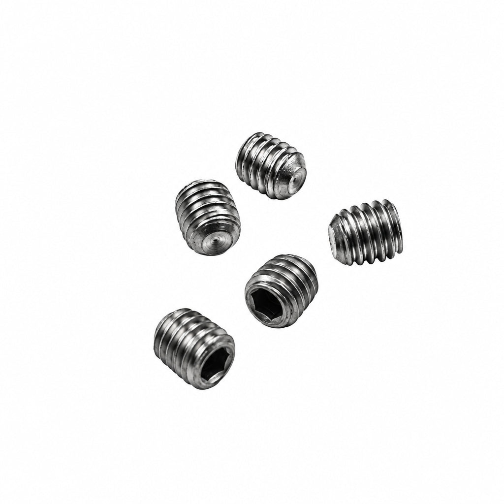 Champion Allen Screws