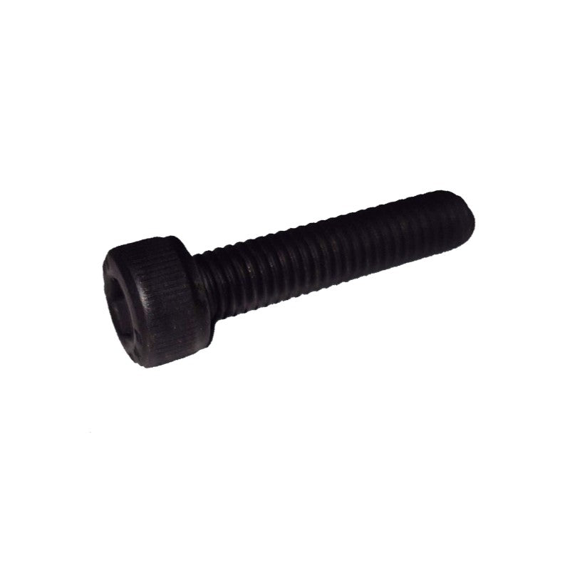 Anschutz Cheese Head Screw M5x22