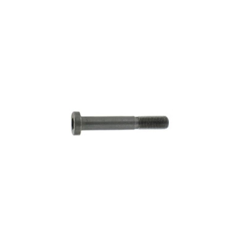 Anschutz Cheese Head Screw M5x45 - 8.8