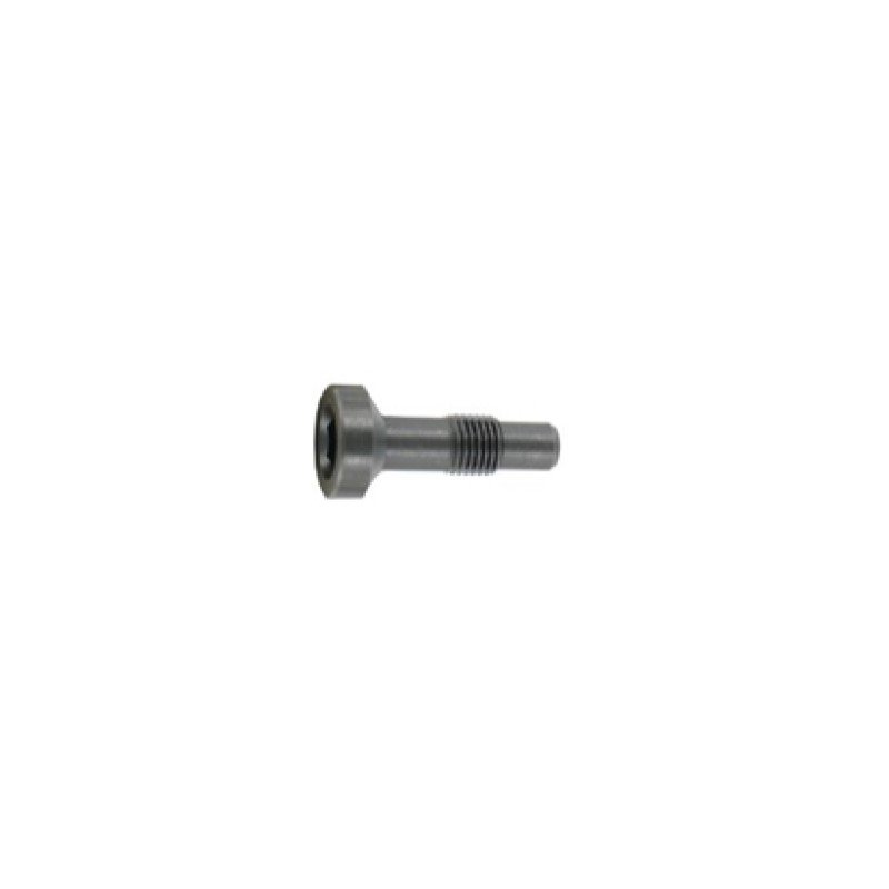 Anschutz Cheese Head Screw M4x23 – Target Rifle South Australia Inc.