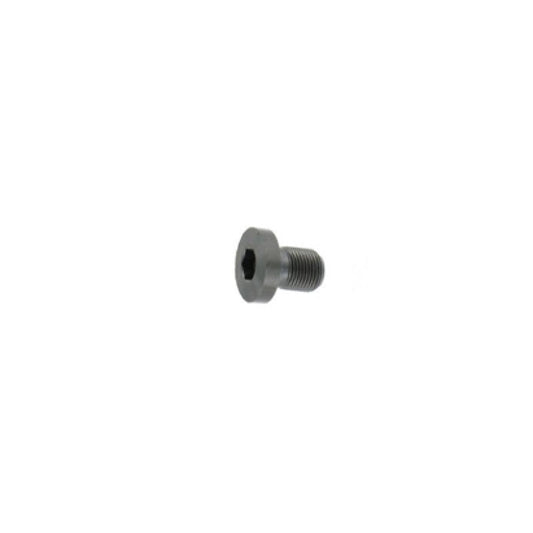 Anschutz Bedding Screw M6x0.75x12