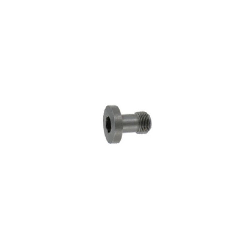 Anschutz Bedding Screw M6x0.75x15