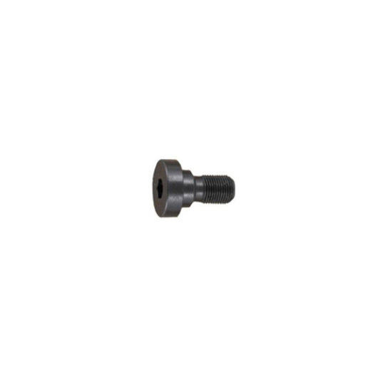 Anschutz Bedding Screw M6x0.75x18