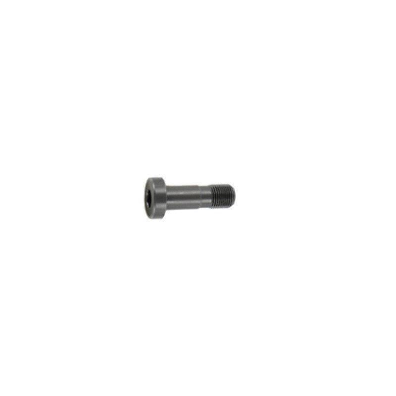 Anschutz Bedding Screw M6x0.75x26